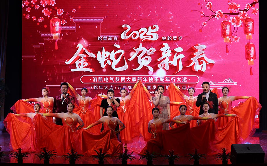 洛凯电气2025年新春晚会